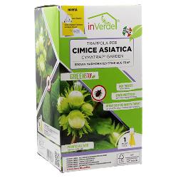 TRAPPOLE X CIMICE ASIATICA