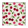 TOVAGLIE PVC 5059/01  H.140X20