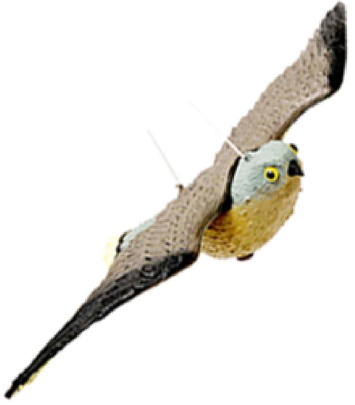 DISSUASORI X VOLATILI FALCO