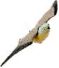 DISSUASORI X VOLATILI FALCO