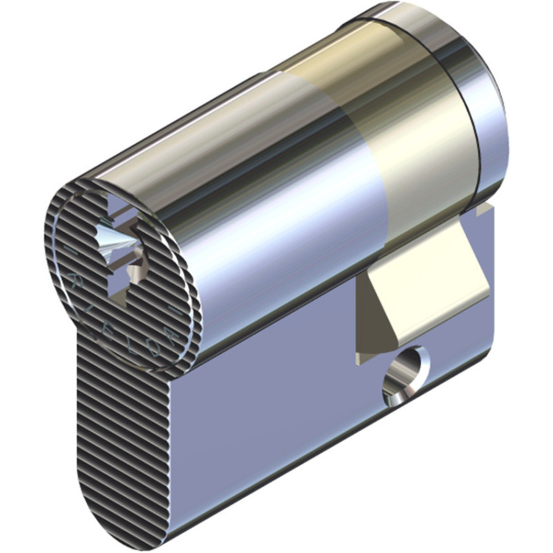 Cilindro di Sicurezza Rielda RS3 Riprogrammabile 30-50