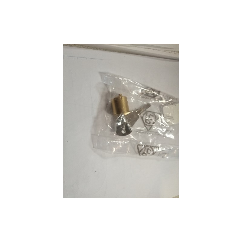 Cilindretto Ricambio Per Cariglione Comunello/Csm Cortellezzi 346