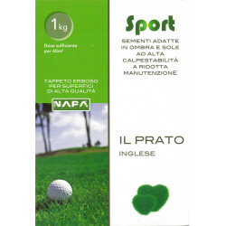 Sementi Erba Prato Inglese Napa Seed kg 1