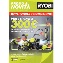 Volantino Promozione Ryobi Buoni Shopping
