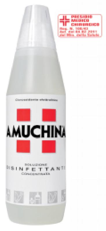 AMUCHINA 100% DISINFETT. LT.1