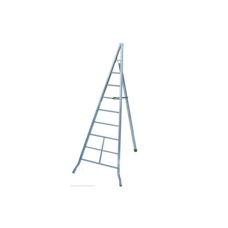 Scala Agricola Facal Alluminio mt 3