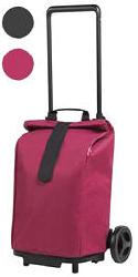 CARRELLI PORTASP.SPRINTER VIOL