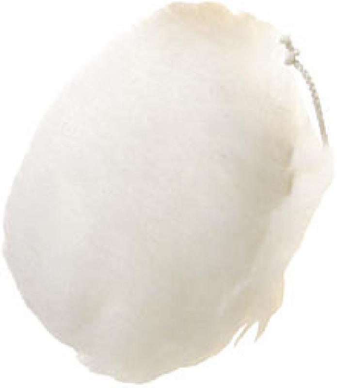 CUFFIE LANA PG 339.00 D.MM.140
