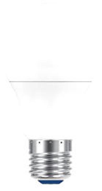 LAMP.LED GOCC. 12/24V 806L E27