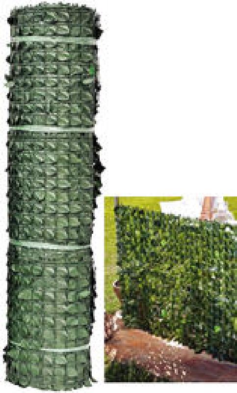SIEPE VERDECOR LAURO M.1X 3