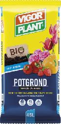 TERRICCIO POTGROND       LT.20