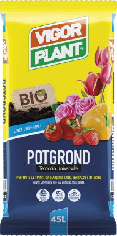 TERRICCIO POTGROND       LT.45